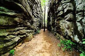Cherokee rock village is a massive outcropping of sandstone boulders along lookout mountain above leesburg. Cherokee Rock Village Alabama Birding Trails