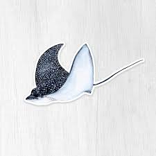 Spotted Eagle Ray Weatherproof Vinyl Sticker With Transparent Etsy In 2020 Eagle Ray Spotted Eagle Ray Ray Tattoo