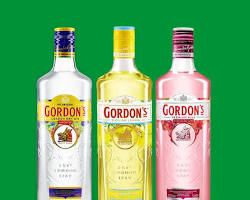 Gordon's 70'lik Cin resmi