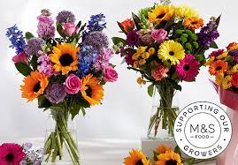 In when they are pressed. Marks And Spencer Flowers Plants With Free Delivery Milled