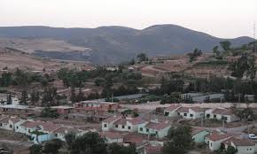 Ay ih الخميس, مايو 12, 2016 7 تعليقات. Ø¹ÙŠÙ† Ø§Ù„Ø¯ÙÙ„Ù‰ ØªØ­ÙŠÙŠ Ø§Ù„Ø°ÙƒØ±Ù‰ Ø§Ù„Ù€115 Ù„Ø§Ù†ØªÙØ§Ø¶Ø© Ø±ÙŠØºØ© Ø§Ù„Ø­ÙˆØ§Ø± Ø§Ù„Ø¬Ø²Ø§Ø¦Ø±ÙŠØ©