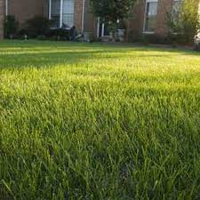 How To Grow Grass In Hard Dirt Hunker Growing Grass Sandy Soil Grass Seed