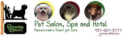 11 reviews of groomingdales pet spa being new to the area i needed to find a dog groomer,we very pleased with the service we received, my dog never looked so good. Dog Groomer In Beavercreek Oh Groomingdales Pet Salon Day Spa