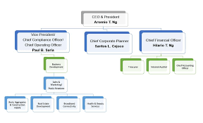 atn holdings inc