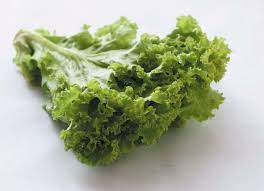 We did not find results for: Local Lettuce Sayur Salad Peranakankitchen