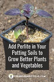 However, this depends on several factors like the type of plants in your garden, the availability of additional additives, and water retention/drainage needs. Perlite Uses In Your Potting Soils Garden Soil Potting Soil Soil