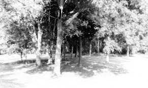 National Park Service