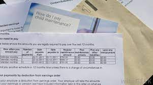 The guidelines employ a methodology designed to calculate child support as the share of each parent's income estimated to have. What Are The Different Types Of Child Support Enforcement