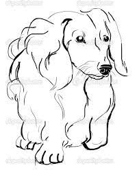 Long haired dachshund coloring pages. Dachshund Clube Dachshund Drawing Dog Coloring Page Dachshund Tattoo