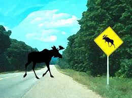 Moose Crossing Charles Pachter Native Art Art Painting