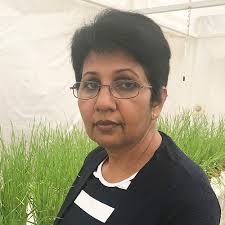 Jeanie Borlaug Laube WIT Mentor Award