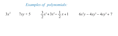 introduction to polynomials