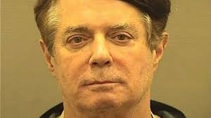 Image result for google images of Paul Manafort