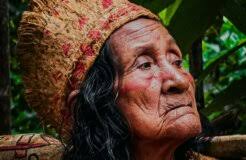 Kenya's sweet potato revolution