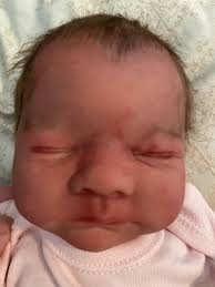 Aria by Hayley Armstrong from Trisha Myers