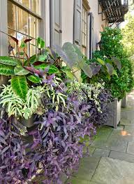 Our focus on window boxes and planters has allowed us to narr The Window Boxes Of Charleston Contained Gardens