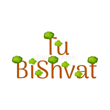 The holiday is observed on the 15th (tu) of the hebrew month of shvat. Tu Bishvat Jewish Festival Of Fruit Trees Event Name Trees With Green Crowns Stock Illustration Illustration Of Season Flat 136154328