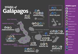 Check spelling or type a new query. Galapagos Islands Mini Guide Eclipse Travel