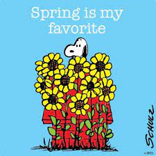 Pin by Tammy Reising on CharlieBrown & Snoopy | Peanuts charlie brown  snoopy, Snoopy pictures, Peanuts gang