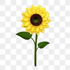 Sunflower Autumn Fresh Yellow Flowers Cartoon Decorative Pattern Sunflower Fall Yellow Flower Png Transparent Image And Clipart For Free Download In 2020 Yellow Flowers Flower Png Images Yellow Daisy Flower