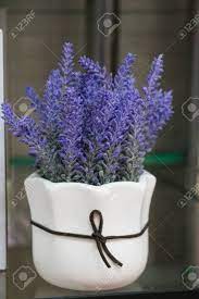 How to make cement pots The Flower Pot With Beautiful Flowers In It Stock Photo Picture And Royalty Free Image Image 73338667
