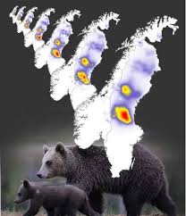 We did not find results for: Scientists Map And Forecast Apex Predator Populations At Unprecedented Scale
