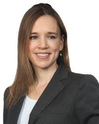 Litigating the Facts