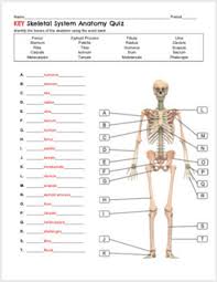 Skeletal System Anatomy Quiz By Biology With Brynn And Jack Tpt