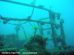 Today, peltastis remains in relatively good condition, lying at a depth of eight to thirty metres, and is an attraction for many interested divers. Wrack Peltastis Wrack Der Peltastis Krk Foto 168045 Auf Taucher Net