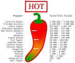 Scoville Scale Chilli Poster By Jovan Djordjevic