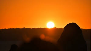 Summer Solstice 2024: The Longest Day Of The Year | Zoocasa Blog