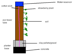 Check spelling or type a new query. Pvc Strawberry Grow Tower Gardening Forums