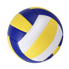 Indoor/Outdoor Volleyball, PU Leather ...