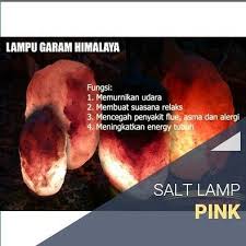 Lampu Garam Himalaya Himalayas Diy Home Decor Home Diy