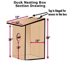 As with many animals, wood ducks were hunted these plans are designed to build groups of 15 boxes out of four sheets of plywood. Wood Duck Boxes