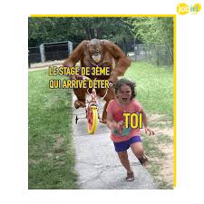 Quand j'ai rendu mon livret, je prépare ensuite mon oral de stage. Trouver Un Stage De 3eme En Periode De Crise Sanitaire Le Guide De Survie Jobirl