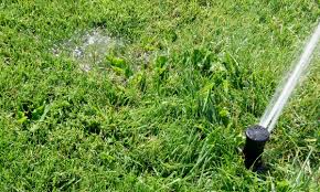All the information you need as a beginner to get you what do i do with my metal detecting finds? How To Detect A Water Leak In The Irrigation System Dengarden