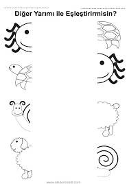 Butun Tam Yarim Kavrami Calisma Sayfasi Hayvanlar Orumcek Koyun Kaplumbaga Eslestirme Etkinlikleri Ve Butun Tam Yarim Mikt Okul Oncesi Okul Boyama Sayfalari