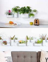 What's more, indoor plants offer an excuse to create a spectacular feature in any room by planting a living wall. Indoor Garden Idea Hang Your Plants From The Ceiling Walls