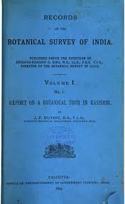 Image result for Aneilema dispermum