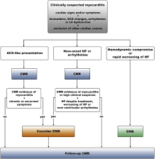 And around the world each year. Diagnosis Of Myocarditis Current State And Future Perspectives Sciencedirect