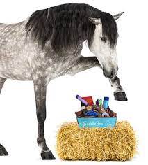 Check spelling or type a new query. 6 Subscription Boxes For The Equestrian