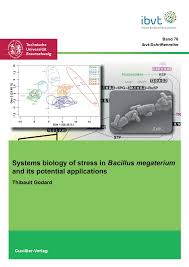 Functional contribution of central metabolic pathways to carbon dioxide  fixation in the marine bacteria Dinoroseobacter shibae