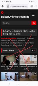 xbokepfb.me · Issue 164493 · AdguardTeamAdguardFilters · GitHub