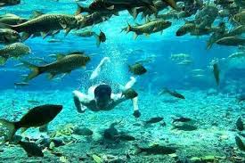 Kota surabaya memiliki banyak sekali tempat wisata air berupa kolam renang yang bisa kamu kunjungi. Batang Tabik Waterpark Payakumbuh Tiket Masuk Lokasi Pariwisata Sumut
