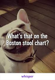 Whats That On The Boston Stool Chart