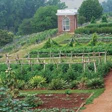 How To Plant A Garden Using Jeffersonian Principles Farm And Garden Grit Magazine Urban Garden Plants Garden