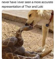 Literally 100 Of The Funniest Marvel Memes Of 2018 With Images Funny Marvel Memes Marvel Funny Marvel Jokes