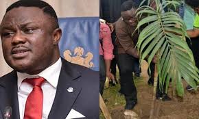The government has declared july 30 an…» Cross River Declares July 30 As Public Holiday To Plant One Million Trees