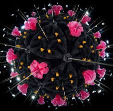 Originally from toronto, currently based in london. Mutation Im Coronavirus Wie Gefahrlich Ist Die Neue Variante In England Welt